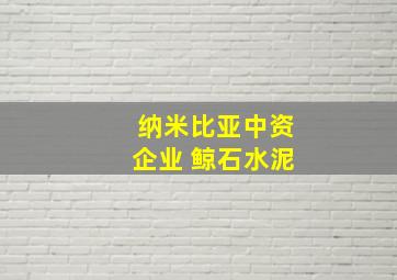 纳米比亚中资企业 鲸石水泥